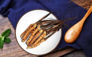 冬蟲夏草有何藥用價(jià)值，蟲草有啥子作用