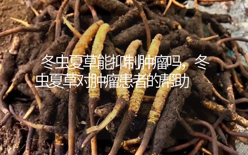冬蟲夏草能抑制腫瘤嗎？冬蟲夏草對(duì)腫瘤患者的幫助