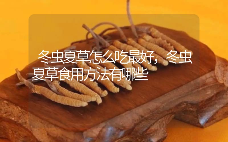 冬蟲(chóng)夏草怎么吃最好，冬蟲(chóng)夏草食用方法有哪些