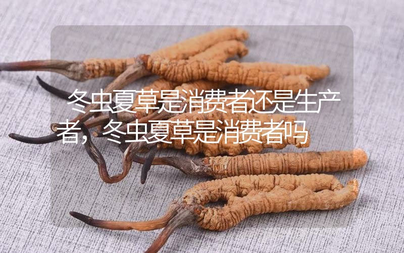 貧血吃冬蟲夏草有效果嗎，貧血虛弱者可以用冬蟲夏草嗎？