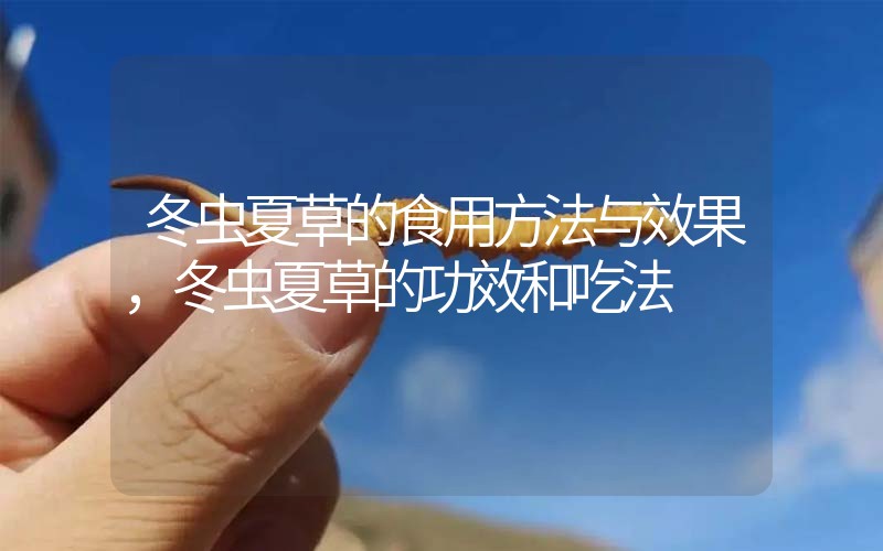 冬蟲(chóng)夏草的食用方法與效果，冬蟲(chóng)夏草的食用方法！