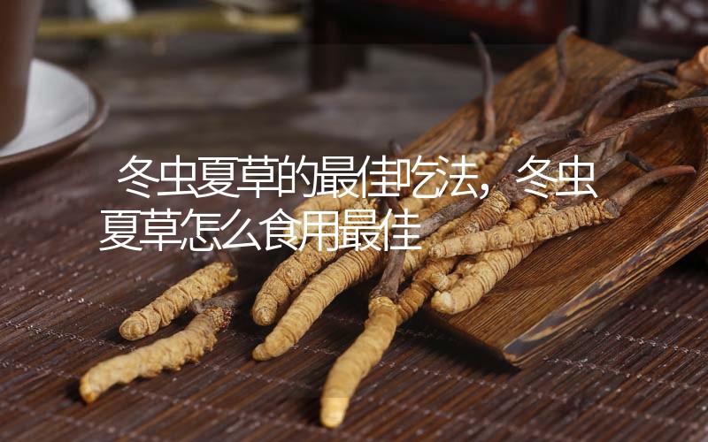 冬蟲夏草的最佳吃法，冬蟲夏草怎么食用最佳