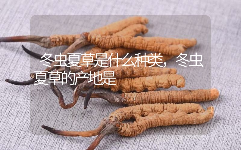 冬蟲夏草是什么種類，冬蟲夏草的產(chǎn)地是