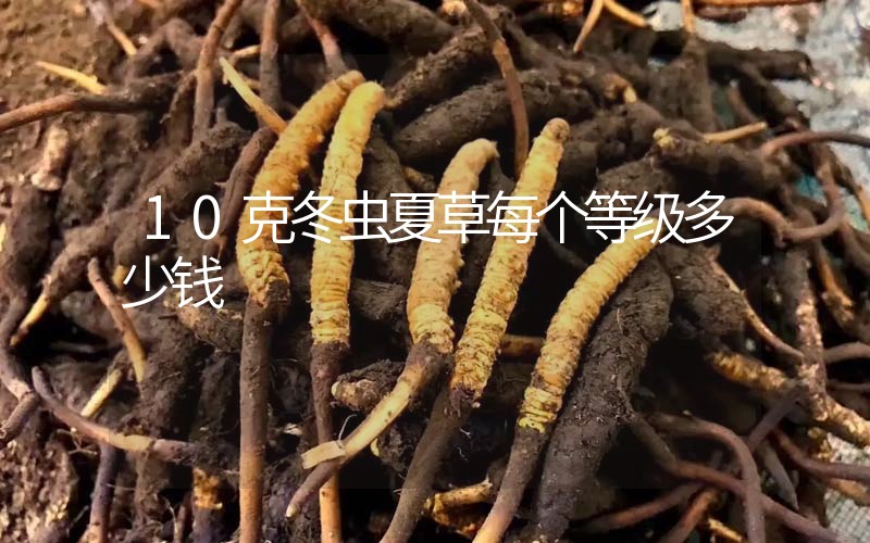 10克冬蟲夏草每個(gè)等級(jí)多少錢？