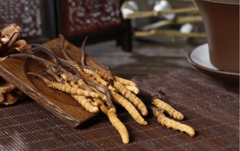 冬蟲夏草怎么選擇，冬蟲夏草選怎么樣的最好?