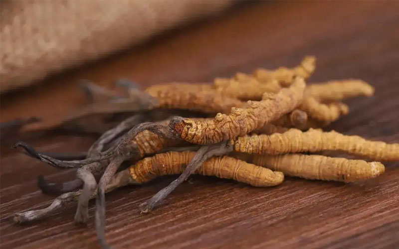 不同產(chǎn)地冬蟲夏草價格差別大嗎？