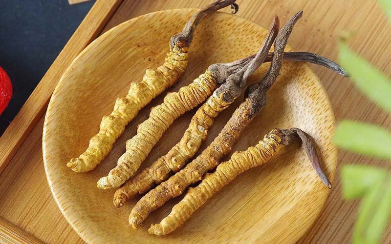 冬蟲夏草作用可以調節(jié)身體肝臟功能嗎？