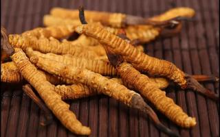 冬蟲夏草的產(chǎn)地很多，不同產(chǎn)地的蟲草價格差異巨大