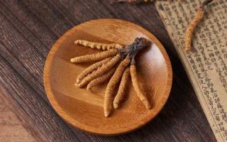 冬蟲夏草是怎么形成的？