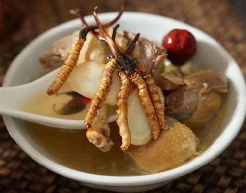 燉冬蟲夏草可以加枸杞嗎？