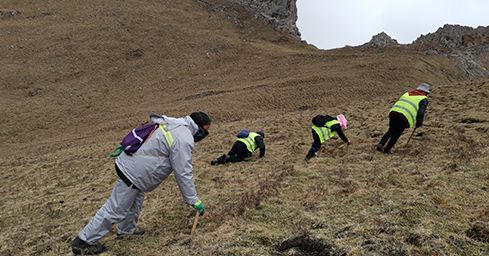 <a href=http://m.aikitbox.com/sdph/zf/ target=_blank class=infotextkey>珍峰冬蟲夏草</a>：源自世界屋脊的養(yǎng)生瑰寶