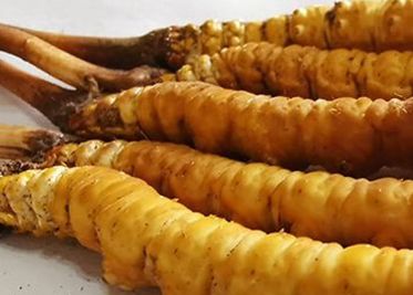 <a href=http://m.aikitbox.com/sdph/zf/ target=_blank class=infotextkey>珍峰冬蟲(chóng)夏草</a>主要的銷售模式