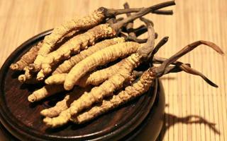 冬蟲夏草的價格一克：為何如此昂貴？