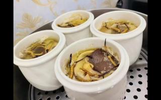 冬蟲夏草燉什么最好？5種黃金搭配讓滋補效果翻倍