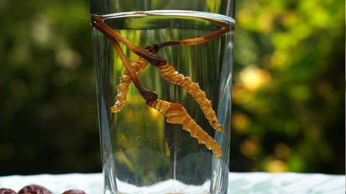 <a href=http://m.aikitbox.com/xinxian/ target=_blank class=infotextkey>鮮冬蟲夏草</a>怎么泡好吃？這些配方讓滋補更有滋味