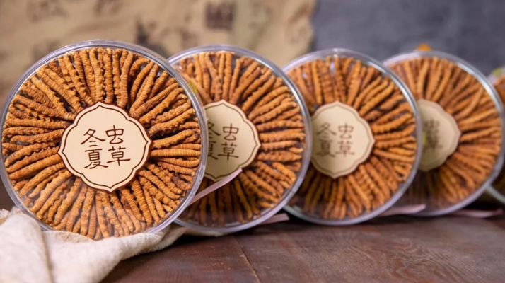 同仁堂<a href=http://m.aikitbox.com/chanpin/ target=_blank class=infotextkey>冬蟲夏草禮盒</a>：珍稀饋贈，品質之選