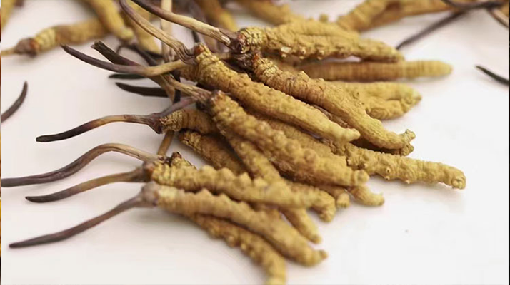 賣(mài)冬蟲(chóng)夏草的地方哪里有？全面解析購(gòu)買(mǎi)渠道與選購(gòu)策略