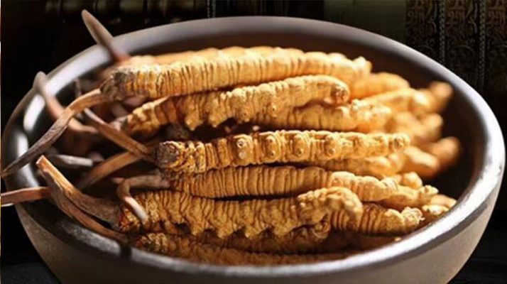 好的<a href=http://m.aikitbox.com/jiage/ target=_blank class=infotextkey>冬蟲夏草多少錢</a>一克