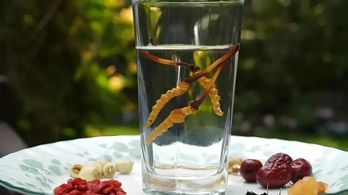 冬蟲(chóng)夏草泡水會(huì)變大嗎