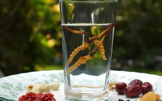 冬蟲(chóng)夏草泡水會(huì)變大嗎