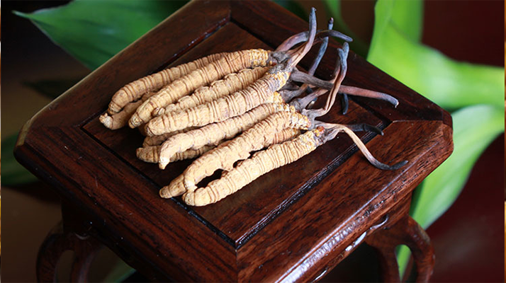 每年有多少冬蟲夏草上市