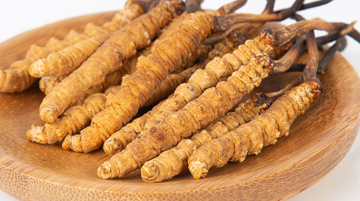 在西藏，冬蟲夏草真的觸手可得？