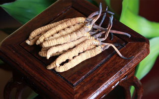 探秘長(zhǎng)期收購冬蟲夏草的買家：市場(chǎng)脈絡(luò)中的關(guān)鍵角色