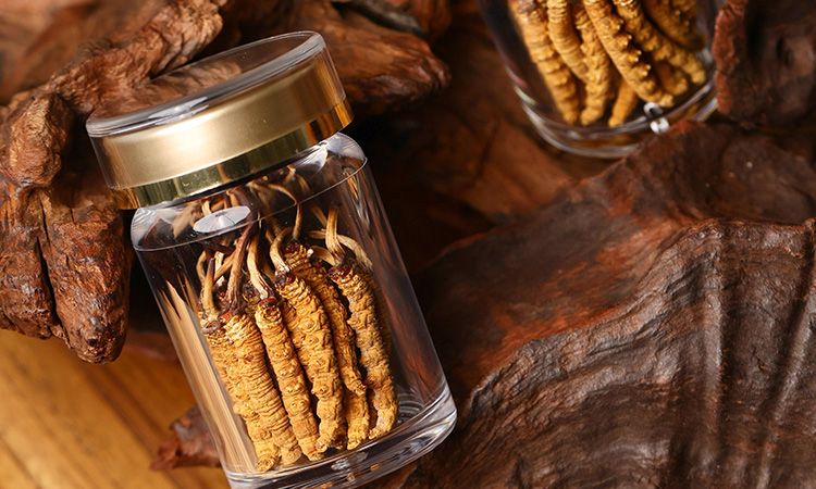 鮮冬蟲夏草泡水后怎么保存 