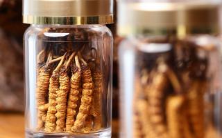 送冬蟲夏草給男孩子好嗎？分場景分析 + 送禮建議