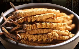 冬蟲夏草掰開后什么樣？從斷面細節(jié)識破品質(zhì)與真?zhèn)?> </div>
            <div   id=