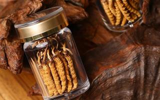 冬蟲夏草養(yǎng)生指南：分清滋補(bǔ)功效，避開養(yǎng)生誤區(qū)