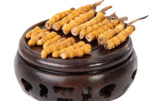 冬蟲夏草的頭期斷草好嗎？有沒有營養(yǎng)價值？