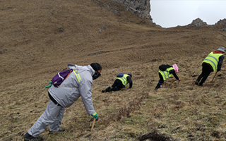 非法采挖蟲草的常見(jiàn)誤區(qū)、合規(guī)清單、采集證辦理流程與價(jià)值鑒定要點(diǎn)