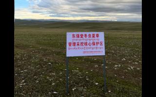 高原之上，蟲草共生；守護(hù)生態(tài)，東強堂與你同行