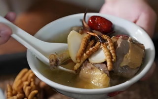  冬蟲夏草和什么食材搭配煲湯比較好？