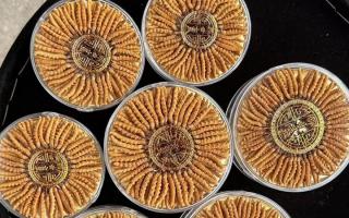 100塊錢一盒冬蟲夏草能買嗎？行業(yè)權(quán)威拆解+避坑指南