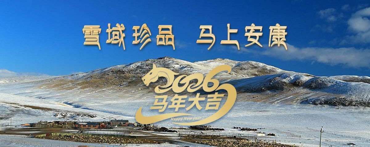 雪域高原藏珍品，2026愿您馬上安康——來自西藏那曲蟲草網(wǎng)的新春祝福