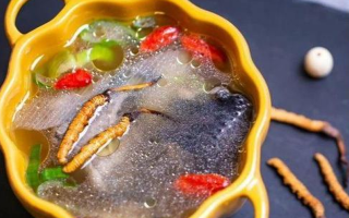 那曲冬蟲夏草辨別全指南｜教你避開市場陷阱，認準正宗珍品