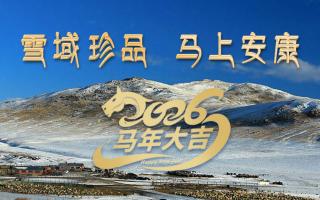 雪域高原藏珍品，2026愿您馬上安康——來(lái)自西藏那曲蟲草網(wǎng)的新春祝福